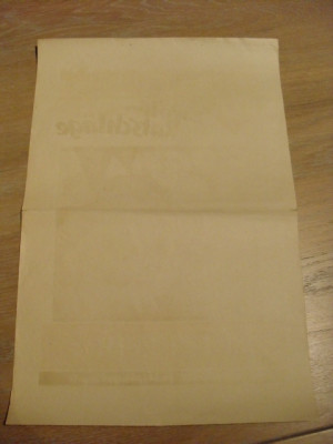 DSCI4254.JPG