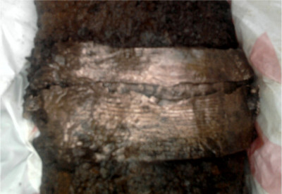 Foto0118A.jpg