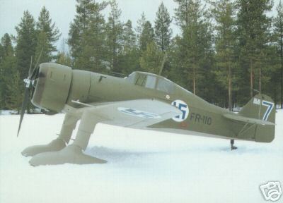 fin fokker d21.jpg