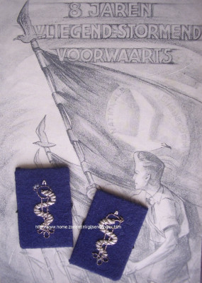 Kraagspiegels Jeugdstorm Arts.jpg