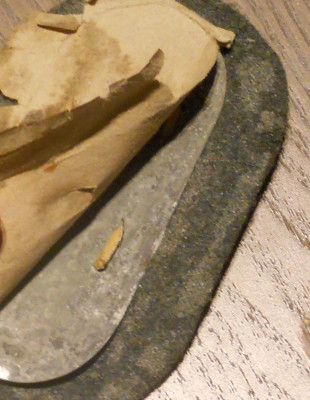 DSCN9906.JPG