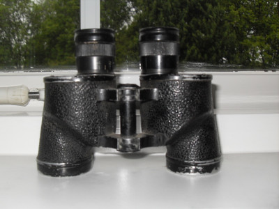 SDC14350.JPG