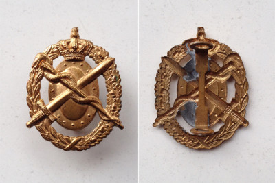 WO2MS_Onbekende badge.JPG