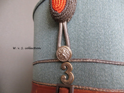 Kepie Subalterne Officier 3e Regiment der Huzaren (9) (Custom).JPG