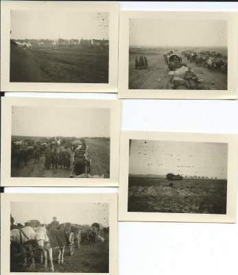 Foto's van G.R.19 rond het Pripyat''moeras'' waar ze zwaar vochten hebben eind november en december 1944