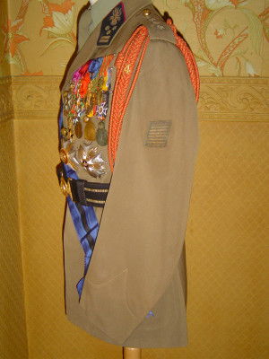 Lt gen zijkant fronstrepen.jpg