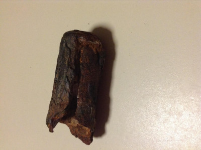 (betere foto's zullen komen)