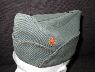 Veldmuts officier algemeen leeuw (1) (Large).JPG