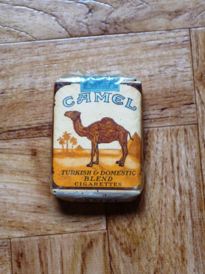Camel Cigarettes 110.JPG
