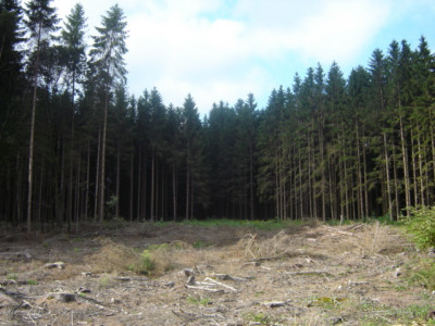 Afbeelding 037.jpg