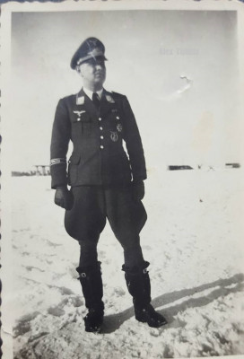 hermangoring.jpg