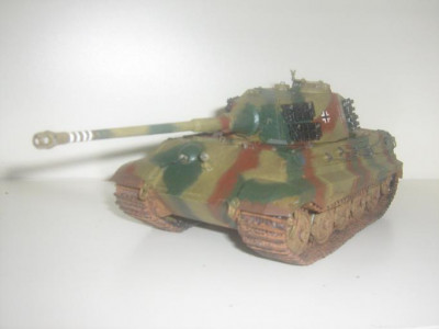ktiger1 008.JPG