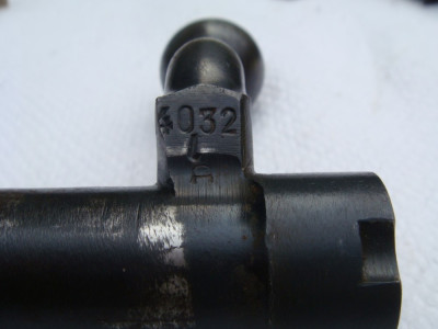DSC06559 (Custom).JPG
