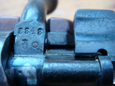 DSC06925 (Medium).JPG