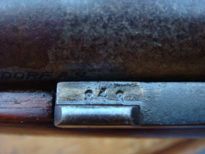 DSC06926 (Medium).JPG