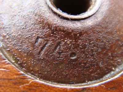 DSC06937 (Medium).JPG