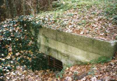 Bunker aangepast als vleermuis onderkomen.