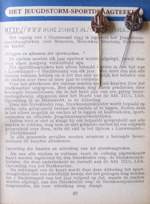 Jeugdstorm sportdraagteken, miniatuur jongens en meisjes