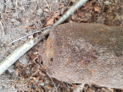 20190526_123209.jpg