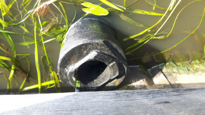 IMG-20190619-WA0000.jpeg