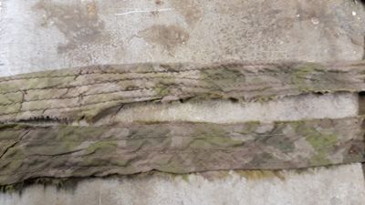 20201012_211507.jp 12,4.jpg