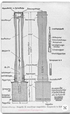 Cobra 6.JPG