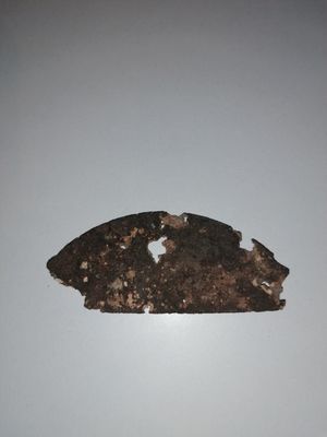 IMG_20201110_111149.jpg