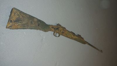 Magneetvis vondst