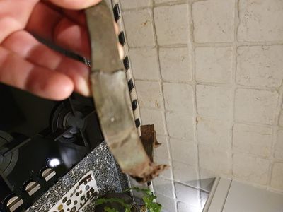 20201204_230455.jpg