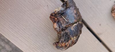 IMG_20210223_181758.jpg