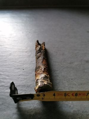 thumbnail_IMG_20210224_080219.jpg