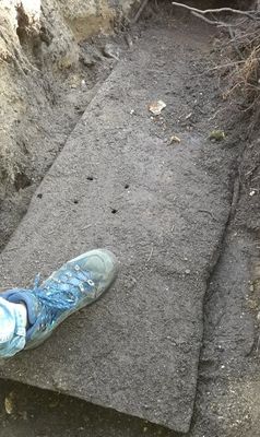 20210228_184055.jpg