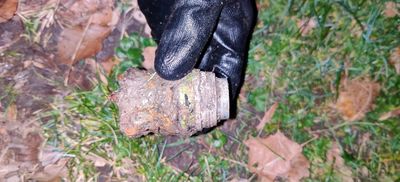 IMG_20210302_190057.jpg