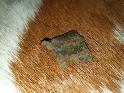 Achterkant geblokt vierkant (2 cm)
