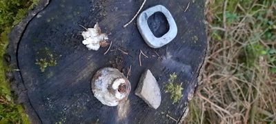 20210804_211337.jpg