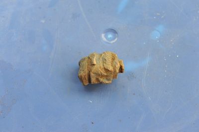 DSC_2958.JPG