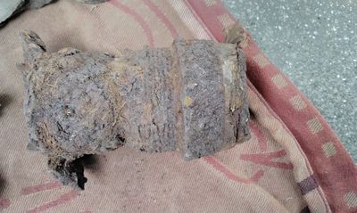 IMG_20210812_135907.jpg