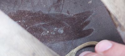 20210815_192054.jpg