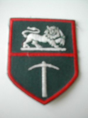 onbekende emblemen 005.JPG