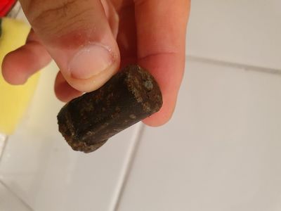 20220416_205157.jpg