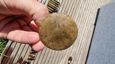 Knoop/dop/gesp?