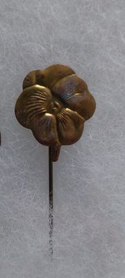 20250917_174945.jpg