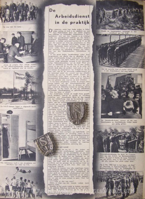 NAD sport insigne a.JPG