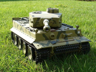 tiger2.JPG