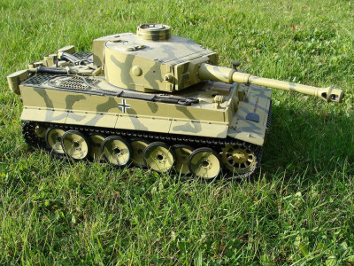 tiger1.JPG