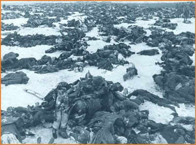 stalingrad_dead_german_invaders.jpg